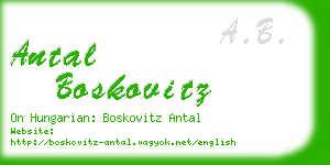 antal boskovitz business card
